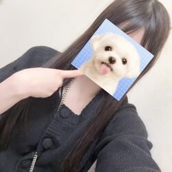 夕方から！！