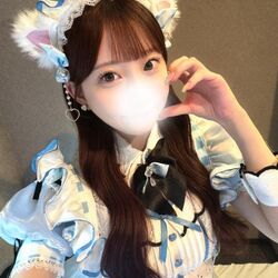 猫になったので保護してください♪