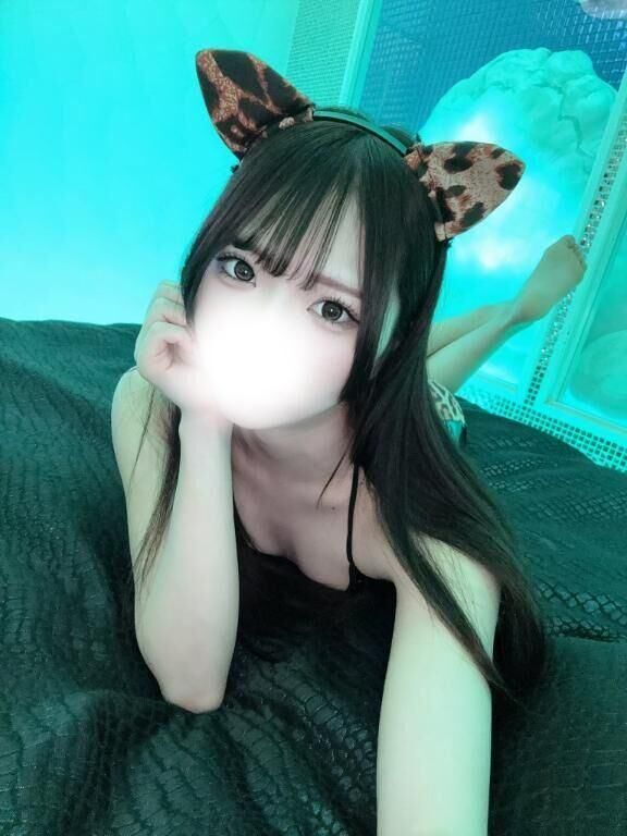 私の只今の案内状況♪